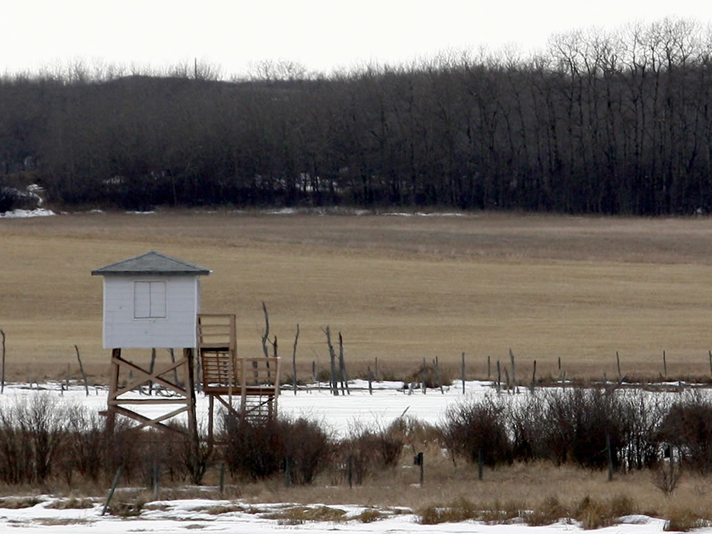 birding-tower (1024x768)