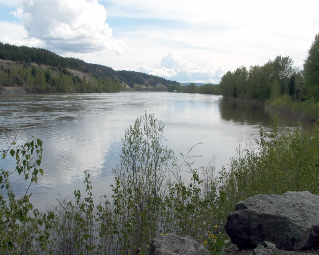 fraser_river_at_prince_george_1251_1 (1280x1024 140K)