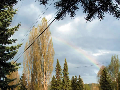 rainbow-over-lombardi